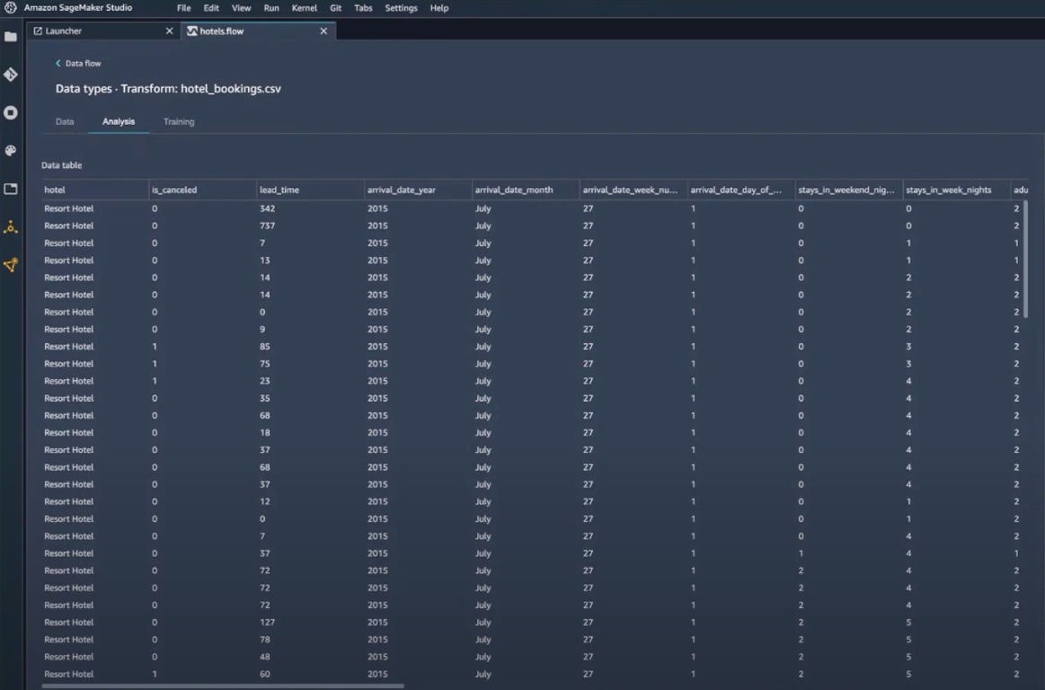Data Wrangler DataGrid without Data Insight Preview
